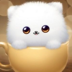 Meet your Posher, Misako